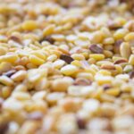 a close up of a pile of corn