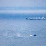 pexels-regan-dsouza-1315522347-36112311