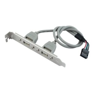 PremiumAV 2-Port USB 2.0 Header Cable Adapter with Rear PCI Bracket for Desktop PC